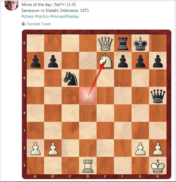 Retrograde Chess Analysis